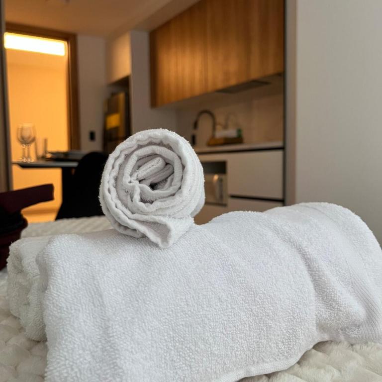 Suite de lujo , con cancha de pádel , sauna , hidromasaje , vista 360 - Apartamento de 1 dormitorio - 48