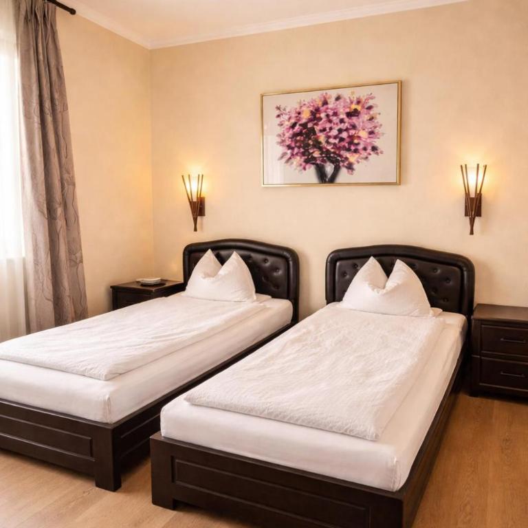 Transylvania Villa & Spa - Superior Apartment mit 2 Schlafzimmern und Balkon - 1. Etage - 9