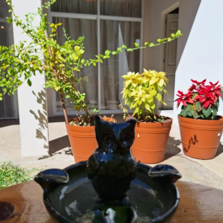 Spacious and central house pool terrace garden - Casa de 6 dormitorios - 32