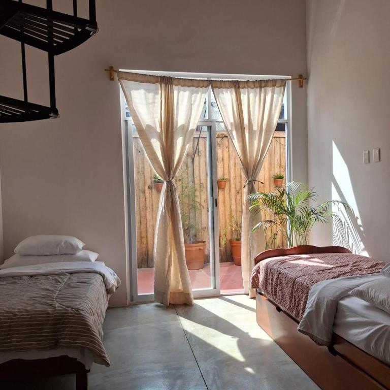 Spacious and central house pool terrace garden - Casa de 6 dormitorios - 38