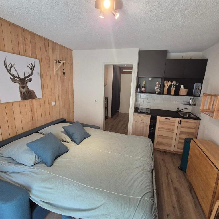 Studio, animaux admis - 2 pers. - FR-1-263-659 - Monolocale - 3