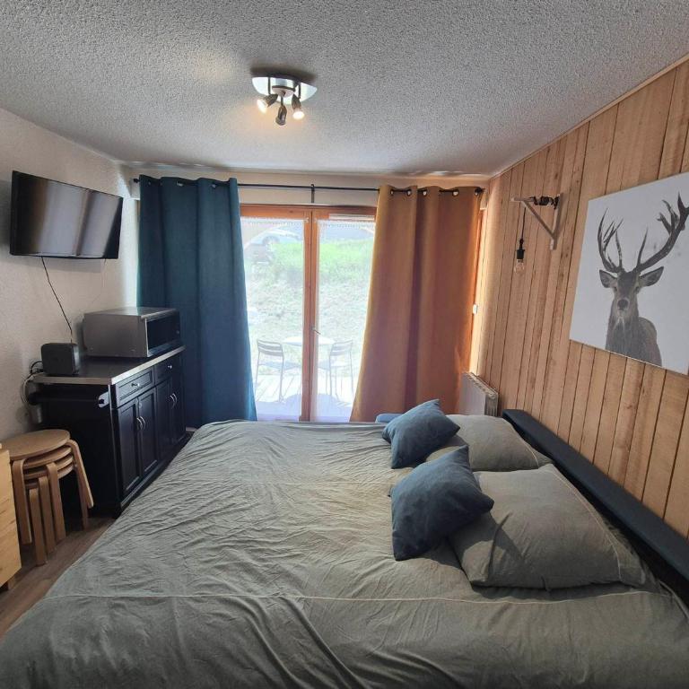 Studio, animaux admis - 2 pers. - FR-1-263-659 - Monolocale - 4