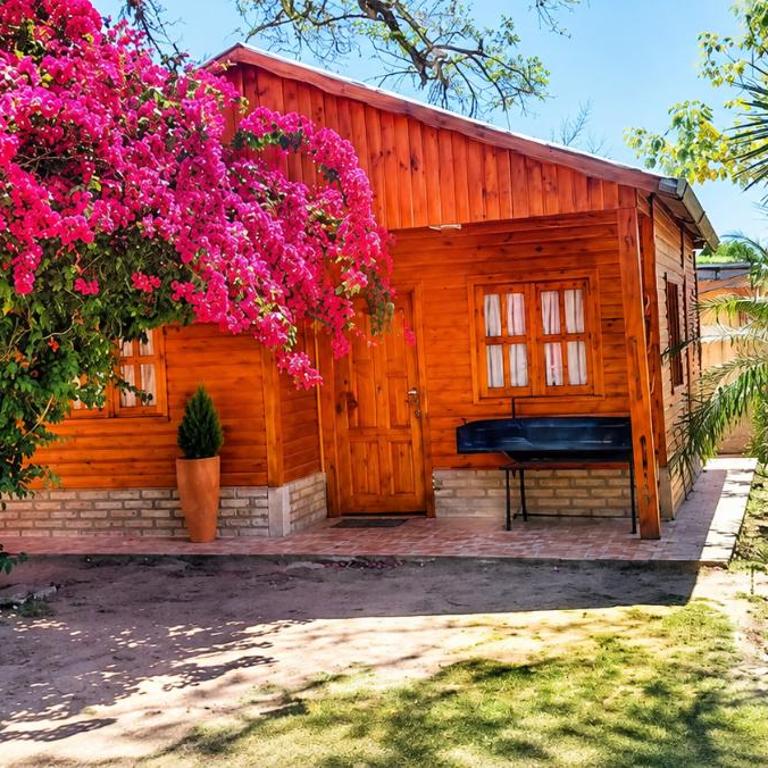 Cabañas TERMALES - Apartamento con vistas al jardín - 7