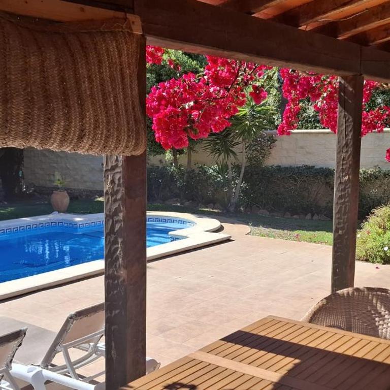Andalusian pool villa 6 pax in subtropical garden - Maison de Vacances 3 Chambres - 5