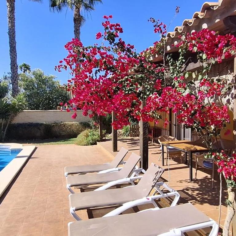 Andalusian pool villa 6 pax in subtropical garden - Maison de Vacances 3 Chambres - 4