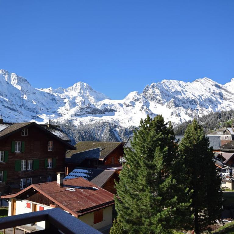 Chalet Bim Chilchli - Apartment mit 3 Schlafzimmern - West - 21