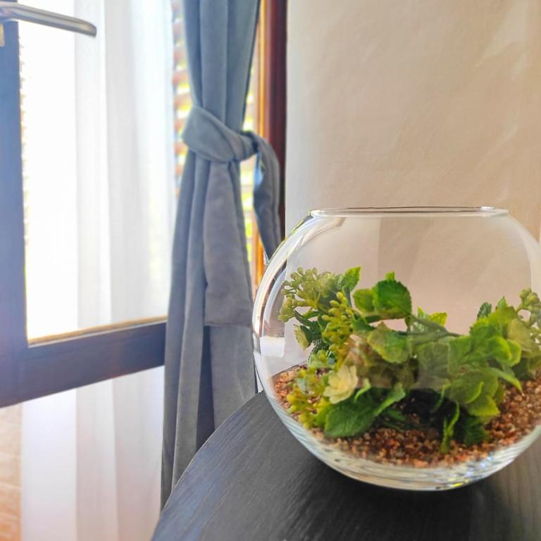 Vista Sea Apartment - Epic Sea View, Cozy Private Stay - Two-Bedroom Apartment with Balcony and Sea View - 33