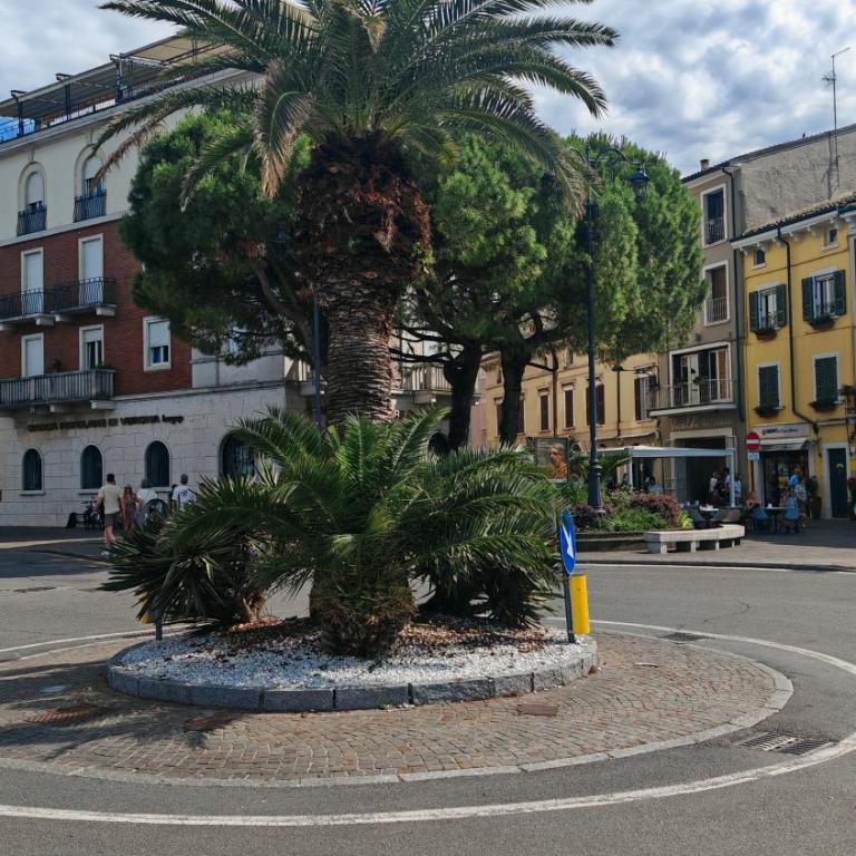 Sole del Garda Haus - Casa con 1 Camera da Letto - 8