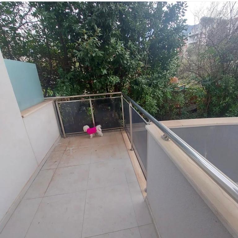 Apartman Natali 6 - Apartman sa 1 Spavaćom Sobom - 4