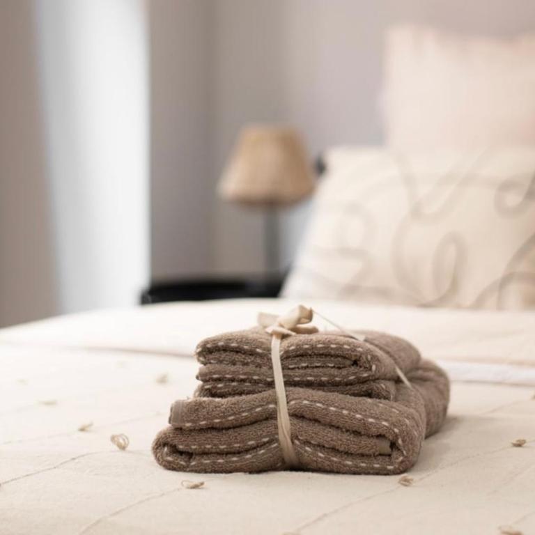 APPARTEMENT LUXUEUX PARKING PRIVÉ WIFI METRO AEROPORT Centre Ville CAMPANS CAFFARELLI - One-Bedroom Apartment - 18