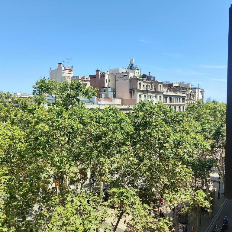 Rambla Skyline Plaça Catalunya. RC. - Apartamento - 37