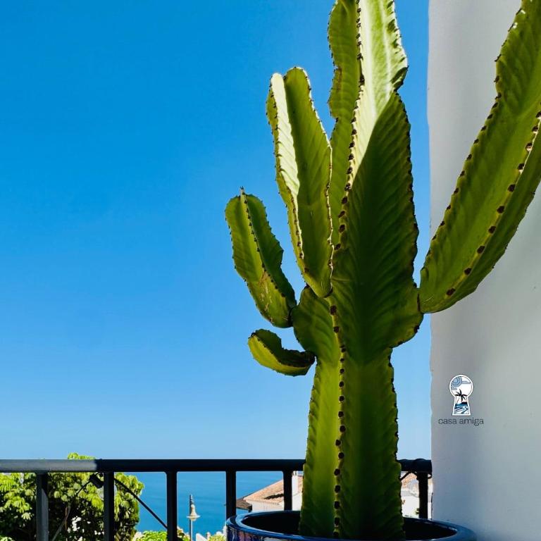 Casa Artur - Terrace & Sea Views - Three-Bedroom House - 31
