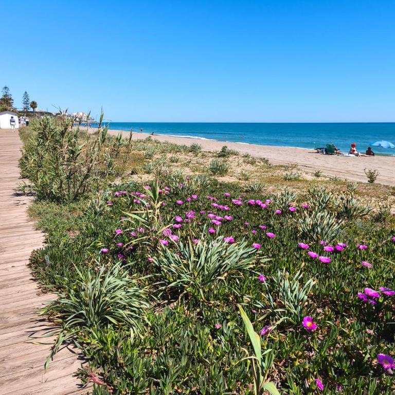 Moon Beach Garden View - Appartement - Rez-de-Chaussée - 24