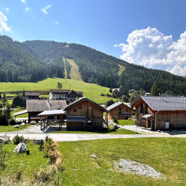 Chalet in Hohentauern - Chalet Ana - Superior Chalet - 4