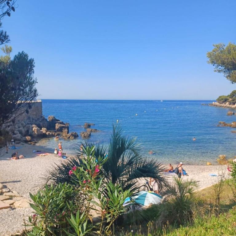 Studio 4 pers avec piscine à 150m mer - Appartement - 17