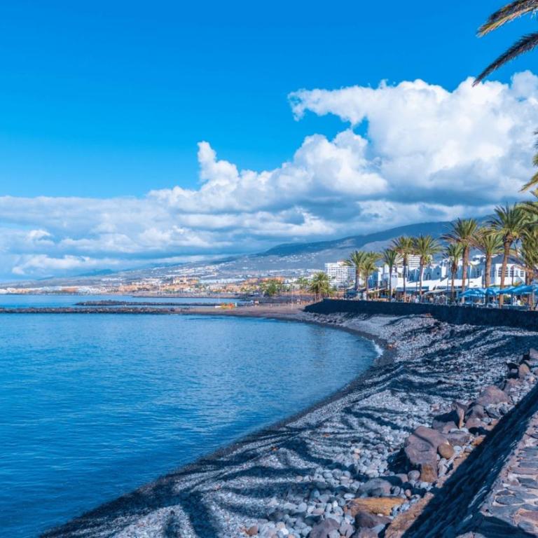 NEW HOLIDAYS BEACH & POOL, AIRCOND, Playa de las Americas, Tenerife - Apartamento - 7