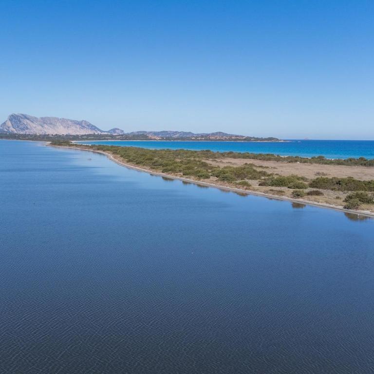 Trilocale centro e mare San Teodoro - Appartamento Deluxe con 2 Camere da Letto e Vista Giardino - 14