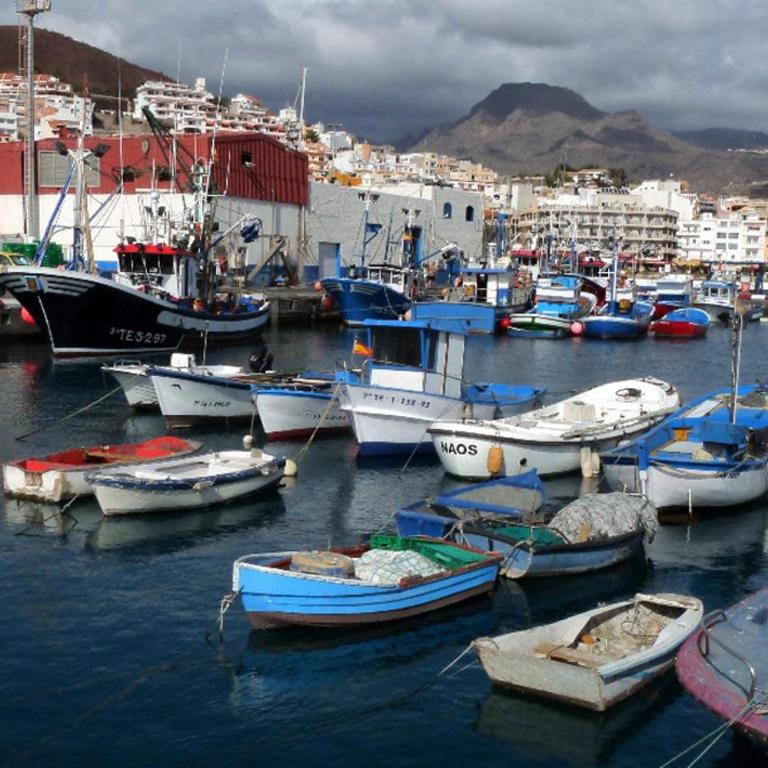 PARADISE HOLIDAYS 2 BEDROOMS APARTMENT & SEA VIEW, Los Cristianos, Tenerife - Apartamento de 2 dormitorios - 57
