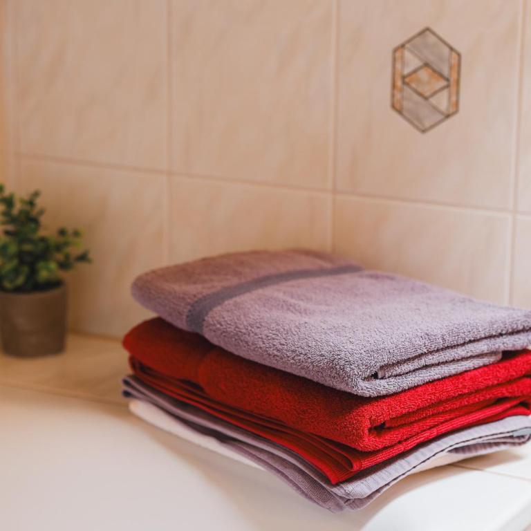 Ferienwohnung Alpenwelt - Appartamento con 1 Camera da Letto - 11