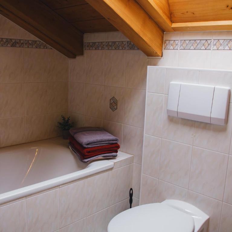 Ferienwohnung Alpenwelt - Appartamento con 1 Camera da Letto - 8