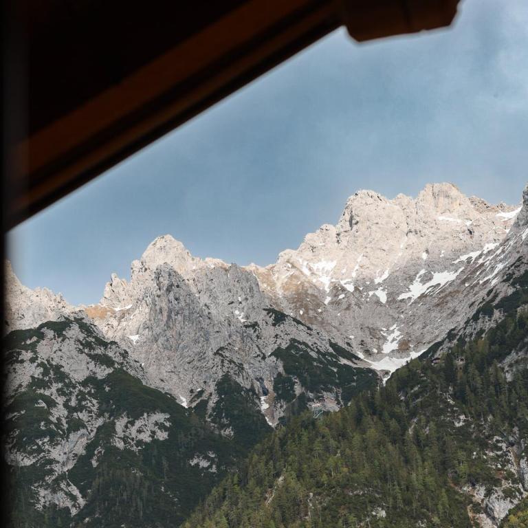 Ferienwohnung Alpenwelt - Appartamento con 1 Camera da Letto - 16