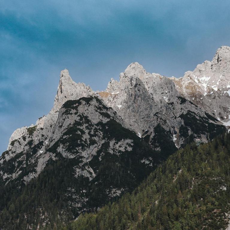 Ferienwohnung Alpenwelt - Appartamento con 1 Camera da Letto - 17