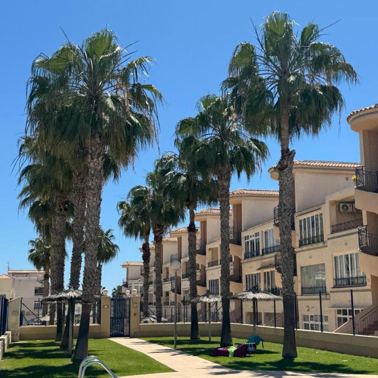 Traditional Ground Floor Apt in Punta Prima R537 - Apartment - 28