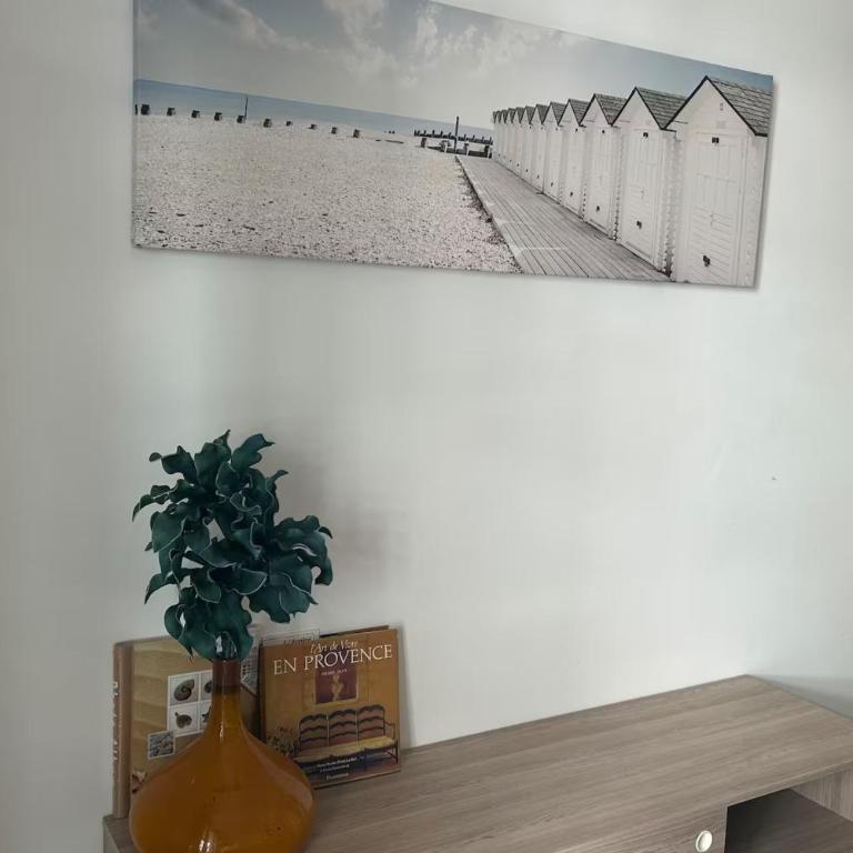 Bright Apt between Antibes & Juan-les-Pins - Apartment - 10