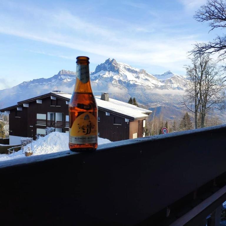 Appartement cosy, style montagnard et moderne - Studio avec Balcon - 13