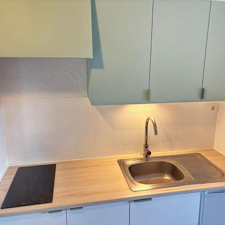 Appartement cosy, style montagnard et moderne - Studio avec Balcon - 2