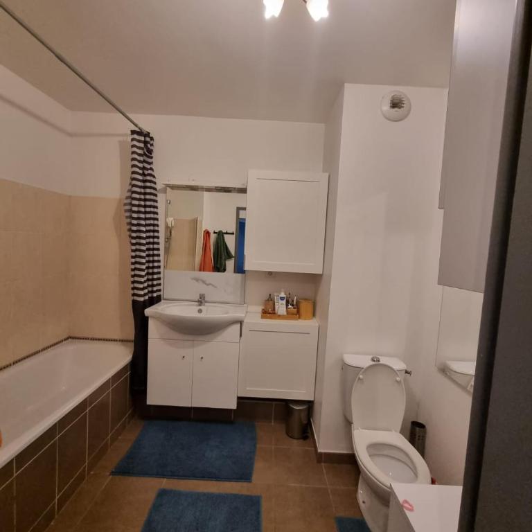 Charmante apartament près de centre ville - Apartment mit 1 Schlafzimmer - 2