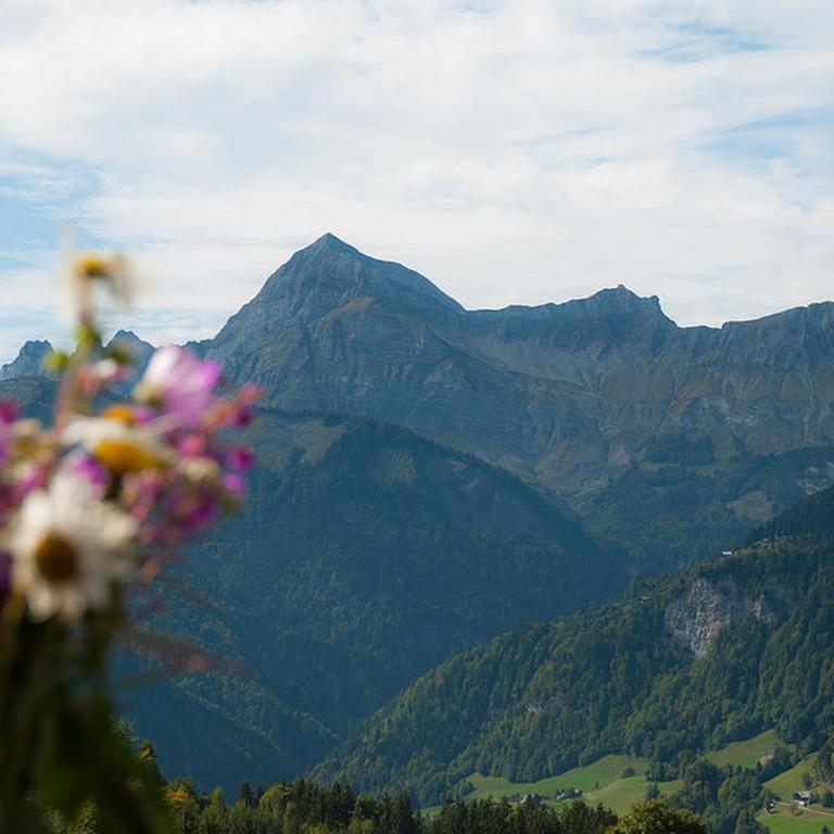 Prachtige Chalet L'Hermine in de Franse Alpen - Superior Chalet - 13