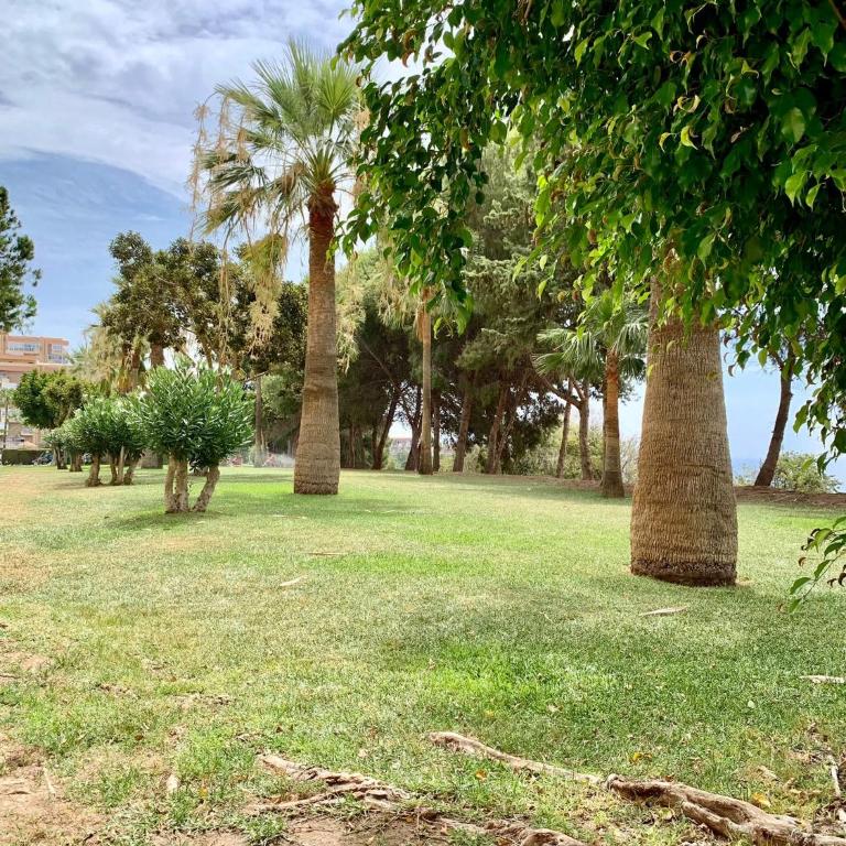 AR Apartments - Central and cozy apartment in Benalmádena - Deluxe Studio - 51