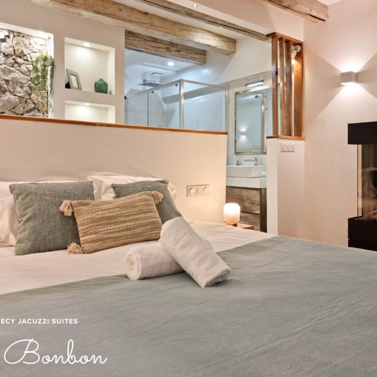 Suites avec Jacuzzi Privé & Terrasse - Vieille Ville d'Annecy - Appartement 1 Chambre - 5
