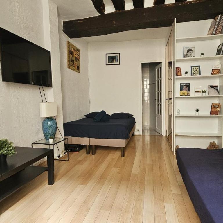 JOLI STUDIO RENOVE EN PLEIN COEUR DE L'ÂME De PARIS QUARTIER PANTHEON , NOTRE-DAME - One-Bedroom Apartment - 9