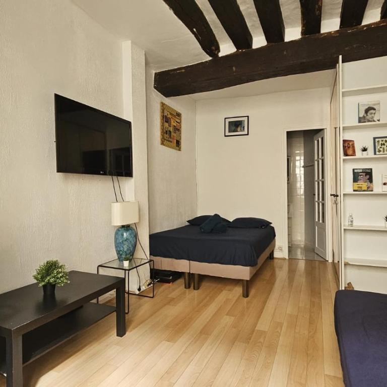 JOLI STUDIO RENOVE EN PLEIN COEUR DE L'ÂME De PARIS QUARTIER PANTHEON , NOTRE-DAME - One-Bedroom Apartment - 14