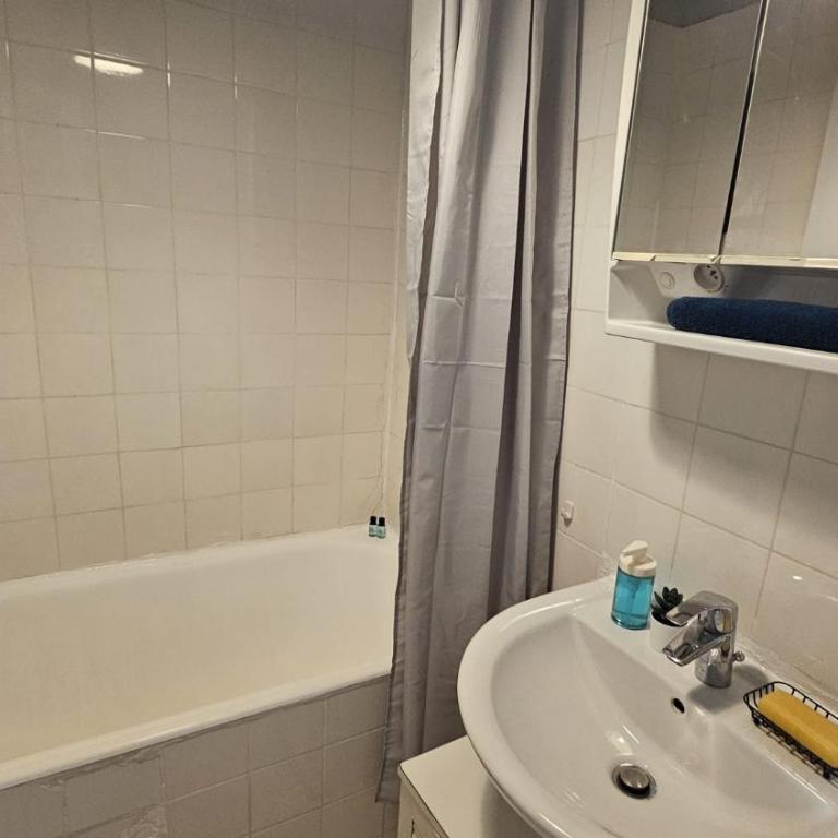 JOLI STUDIO RENOVE EN PLEIN COEUR DE L'ÂME De PARIS QUARTIER PANTHEON , NOTRE-DAME - One-Bedroom Apartment - 21