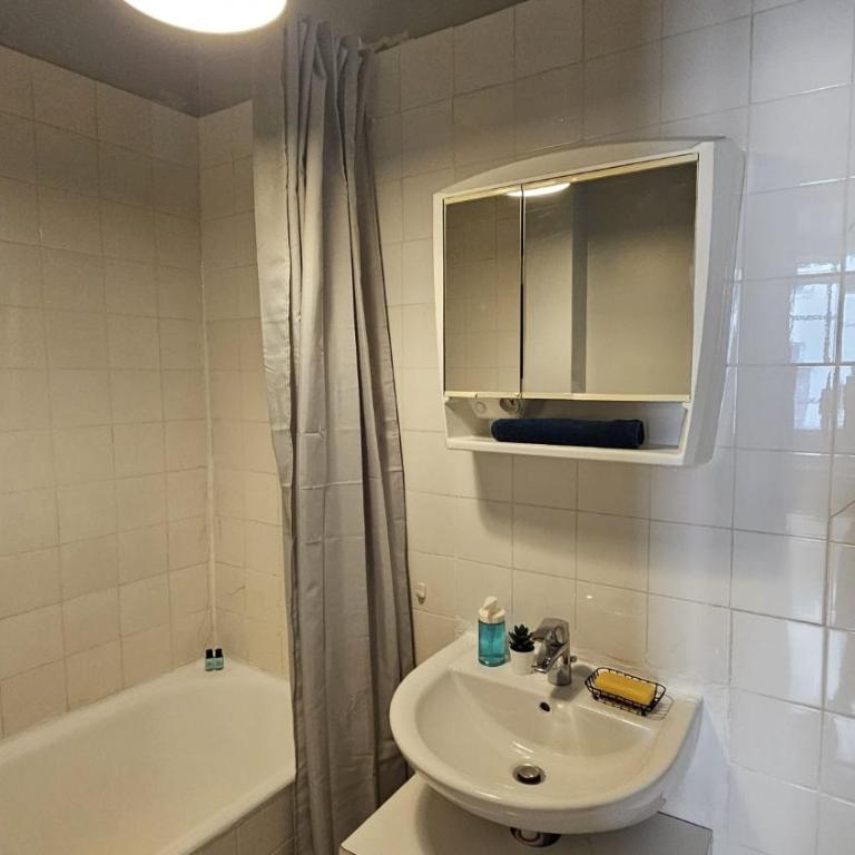 JOLI STUDIO RENOVE EN PLEIN COEUR DE L'ÂME De PARIS QUARTIER PANTHEON , NOTRE-DAME - One-Bedroom Apartment - 22