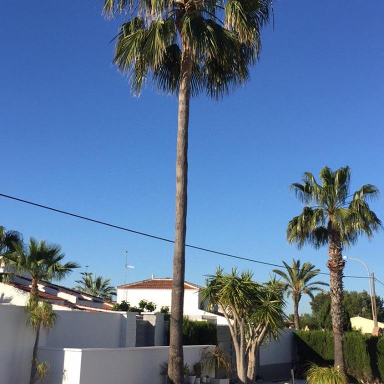 Calle de las Rosas - Villa con piscina privada - 2