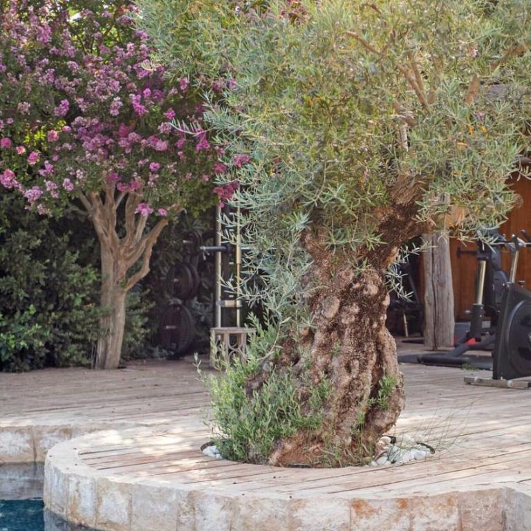 Villa - 250 m - 5 bedrooms - Pool - St Tropez Gulf - Villa Deluxe - 35