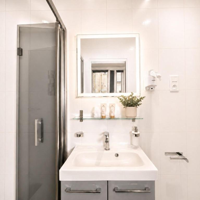 Charming appartment - Louvre & Tuileries Gardens - Apartment - 21