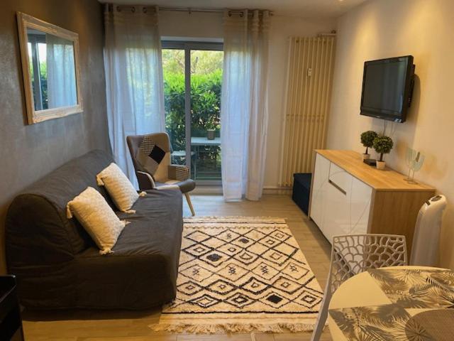 MAGNIFIQUE STUDIO PISCINE, VERDURE PROCHE MEr - One-Bedroom Apartment - 8
