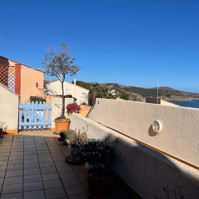 Appartement 2 pièces BANYULS SUR MER BN030-E01 - Appartamento con 1 Camera da Letto - 8