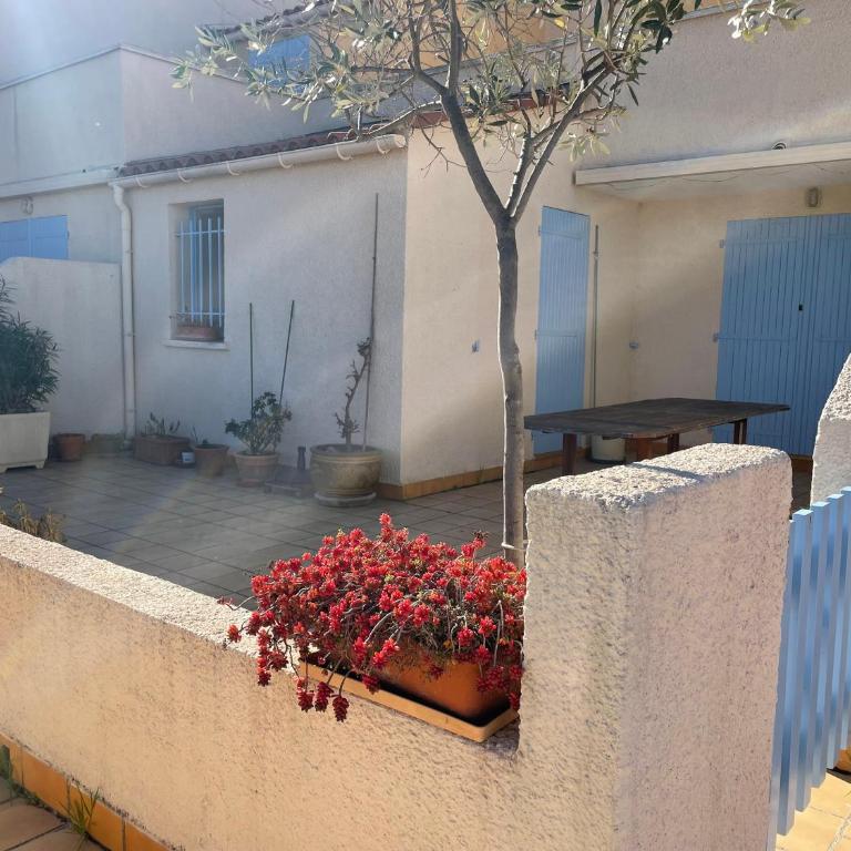 Appartement 2 pièces BANYULS SUR MER BN030-E01 - Appartamento con 1 Camera da Letto - 11