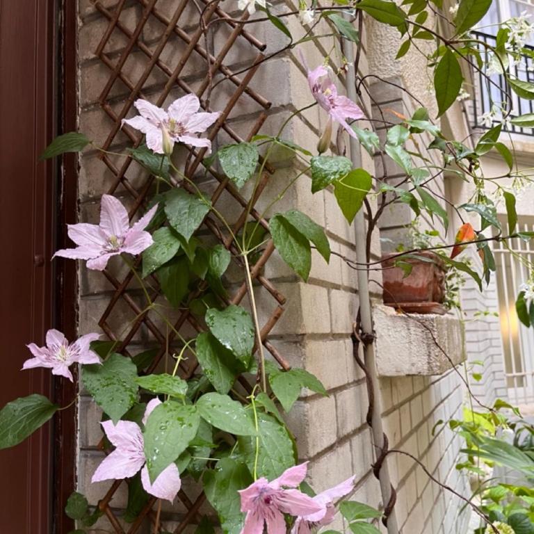 Comme une petite maison - Appartement 2 Chambres - 16