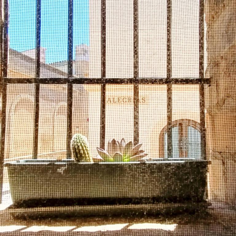 Kala Almendrillo Apartment Boutique - Appartement 1 Chambre - 6