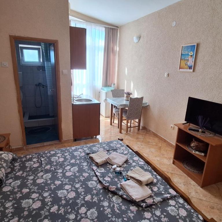 Ivanovic Family Studio Apartments - Studio with Terrace - 2