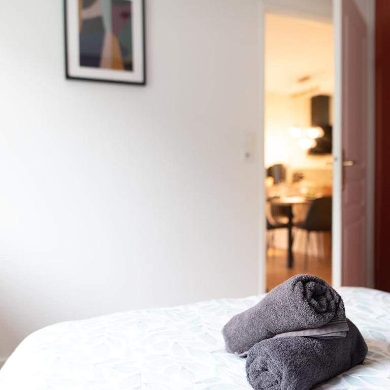 L'Ovalie Appartement T2 CLIMATISÉ et JARDIN - Apartamento de 1 dormitorio - 14