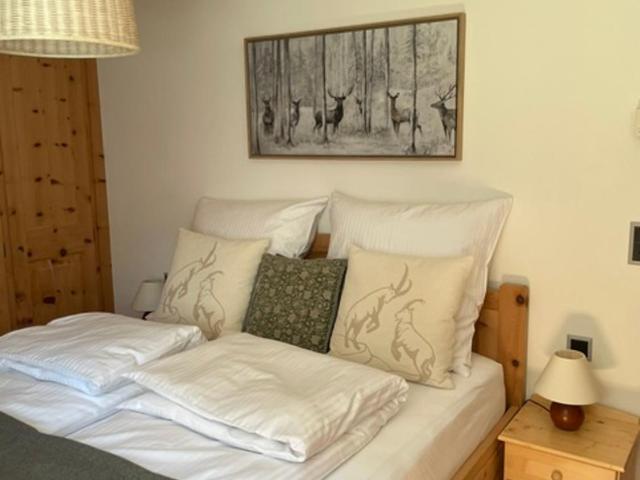 2,5 Zimmer Wohnung mit Bergblick in Engadin - Apartment mit 1 Schlafzimmer - 34
