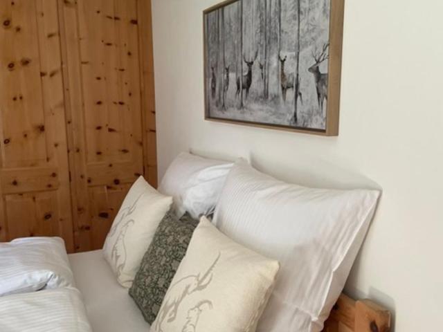 2,5 Zimmer Wohnung mit Bergblick in Engadin - Apartment mit 1 Schlafzimmer - 35